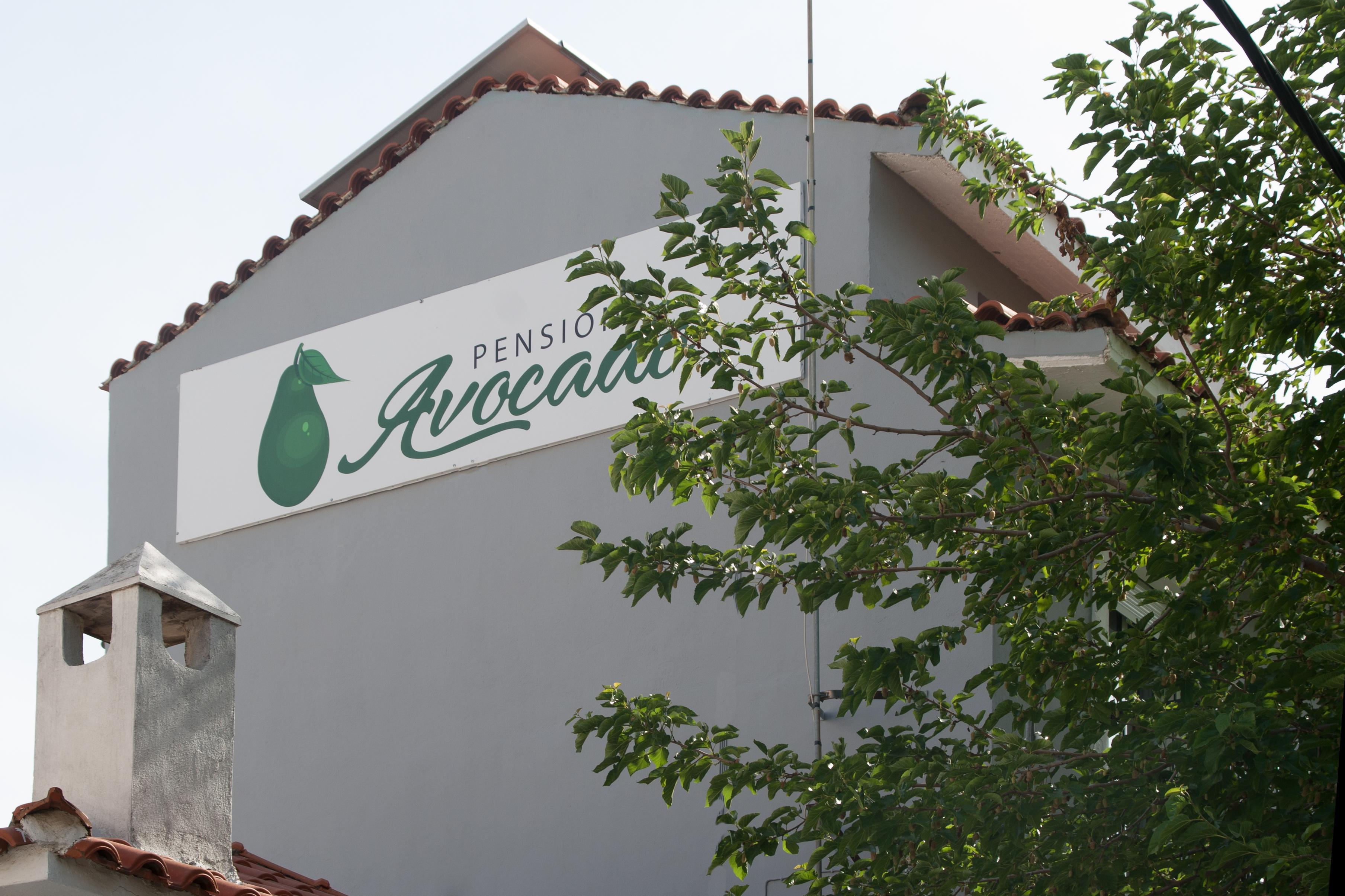 Avocado Skiathos Exterior photo